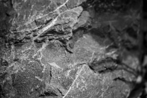 istock Stone texture in black and white color 1170793937