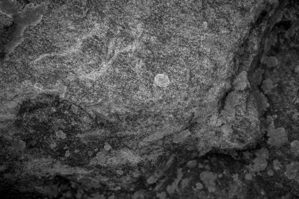 istock Stone texture in black and white color 1170793945