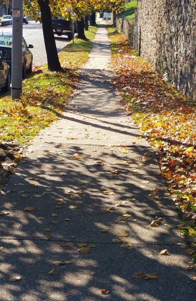 istock Shady, autumn sidewalk (Baltimore MD). 1170795851