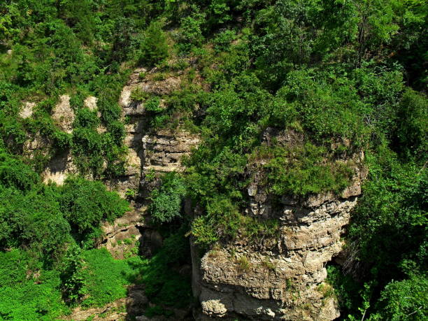 istock Grand Gulf, Missouri. 1170800856