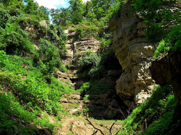 istock Grand Gulf, Missouri. 1170800891