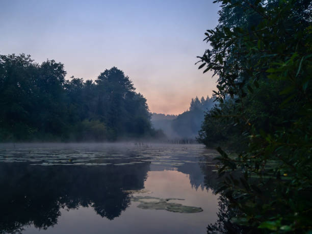 istock Morning fog over the river 1170803196