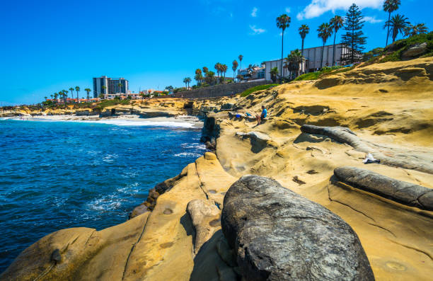 istock San Diego California along the Tide Pools eroded cliffs 1170809673