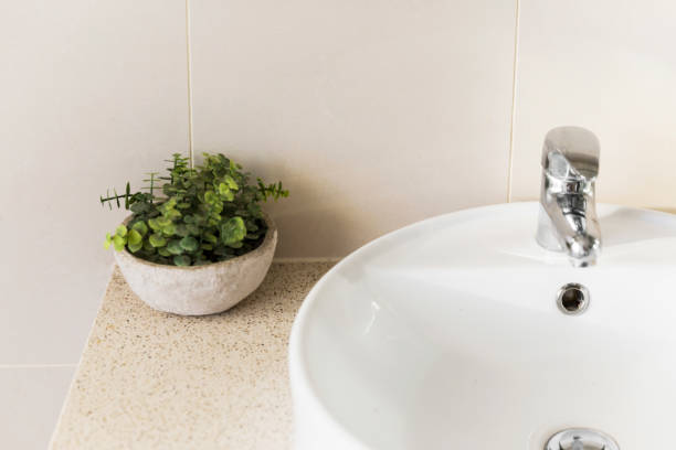 최소한의 가정 욕실 싱크대 및 플라스틱 식물 장식 - sink bathroom pedestal tile 뉴스 사진 이미지