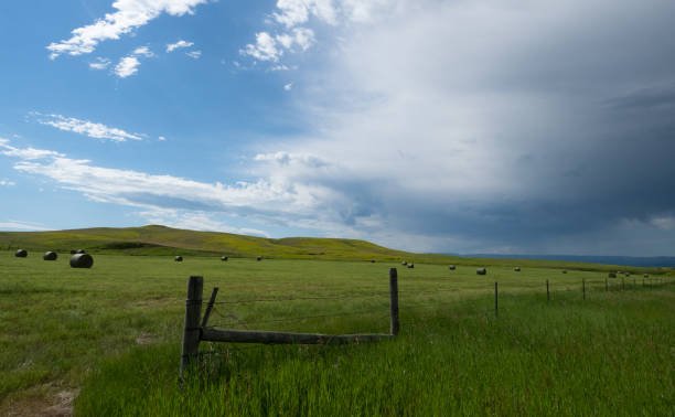 nubes de tormenta dramáticas sobre un pasto verde con balas de heno - lewistown fotografías e imágenes de stock