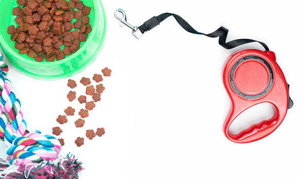istock Dry food with pet accessories on isolated white background. 1170816651