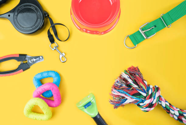 istock Pet supplies with copy space on yellow background 1170816682