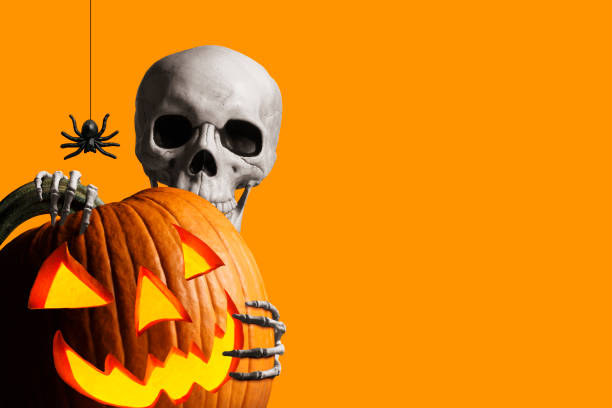 A skeleton wraps its hands around and peeks out from behind an illuminated jack o'lantern as a spider hangs from its web isolated against an orange background.