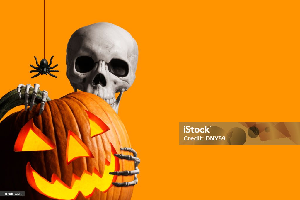 Skeleton Peeks Out From Behind A Jack O'Lantern In Front Of Orange Background A skeleton wraps its hands around and peeks out from behind an illuminated jack o'lantern as a spider hangs from its web isolated against an orange background. Halloween Stock Photo