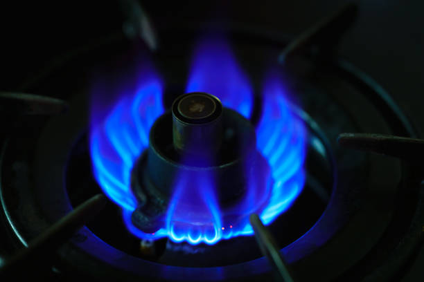 istock Modern kitchen stove cook with blue flames burning 1170818243