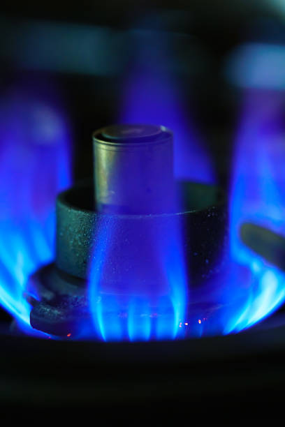 istock Modern kitchen stove cook with blue flames burning 1170818252