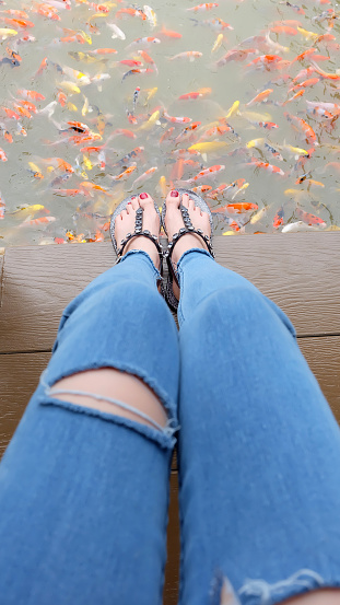 Top view selfie feet of sandals shoe on wooden floor background. Beauty and fashion concept, fashionable accessories.  Woman wearing shoes with red nail pedicure standing in pond with goldfish.