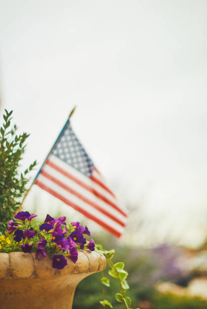 istock Plant pot with flowers and American flag 1170825788