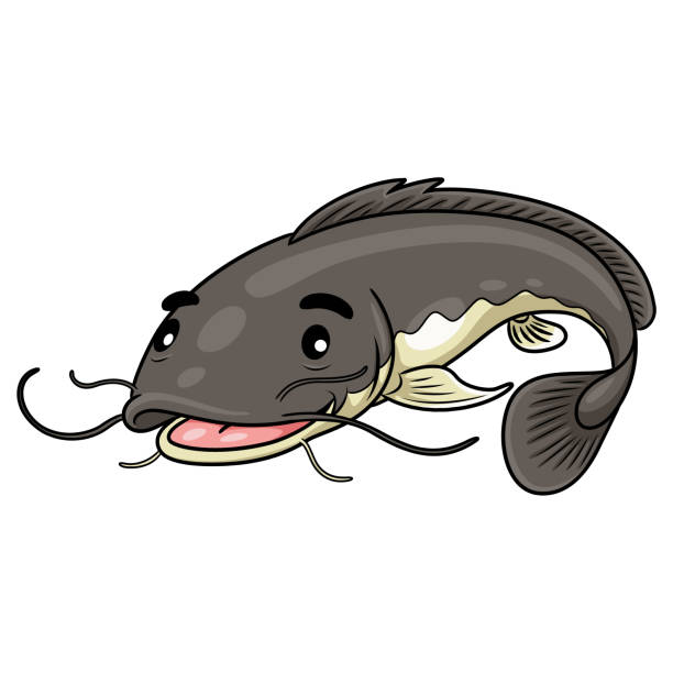 Catfish Cute Cartoon Illustration of cute cartoon catfish. catfish stock illustrations