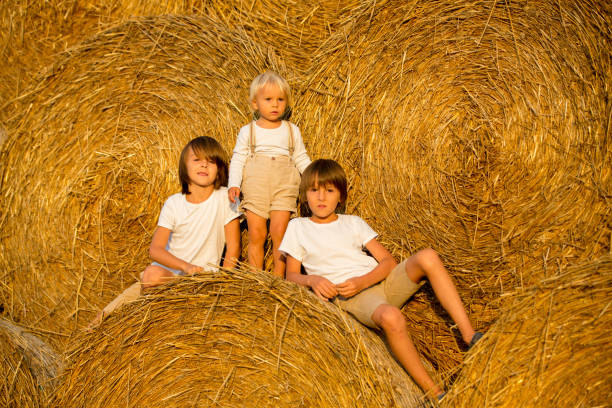 istock Happy children, playing on haystacks summertime 1170830336