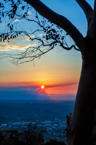 istock Sunset view from Mount Ainslie Lookout, Canberra 1170830371