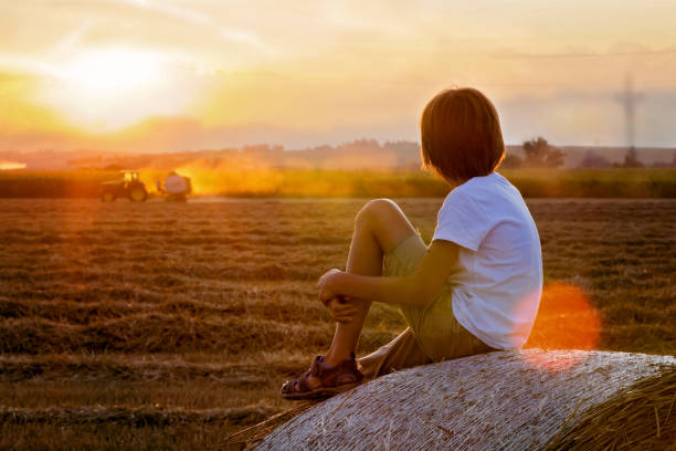 istock Happy child, watching tractor working in field on sunset, sitting on haystack 1170830402
