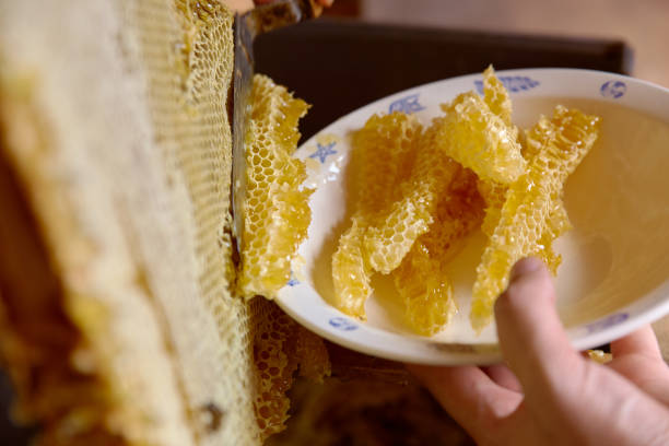 istock White plate with sections of fresh wax honeycomb 1170831418