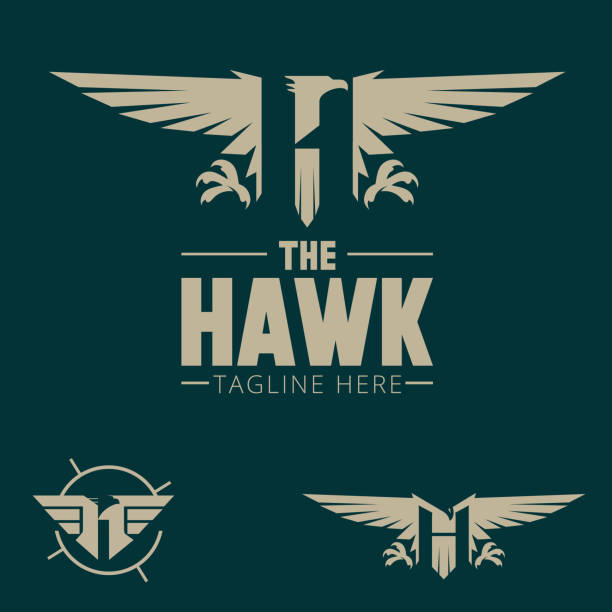 H logo letter based Hawk bird theme logo set. vector letter based Hawk bird theme logo set. vector harpy eagle stock illustrations