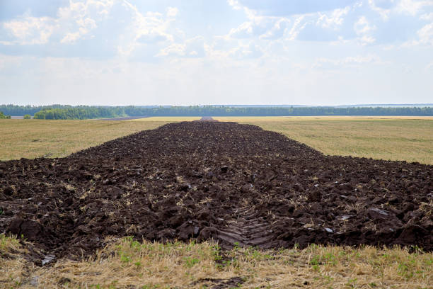 Horizontal image of plowed land, harvested, cultivated Chernozem. Photographing nature of Saratov region of Russia in summer.