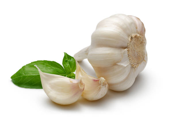 istock Garlic bulb and garlic cloves with basil leaf 1170841773