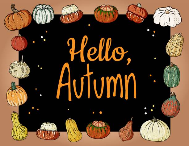 istock Hello autumn cute cozy banner with pumpkins. Autumn festive poster. Fall harvest greetings postcard 1170843721
