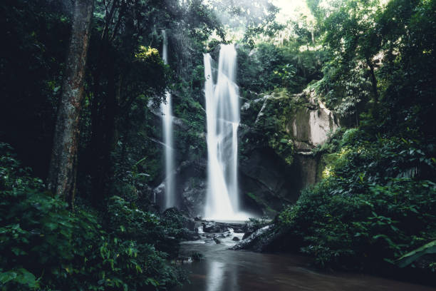 istock Waterfall Mok Fah Waterfall in the jungle 1170843942