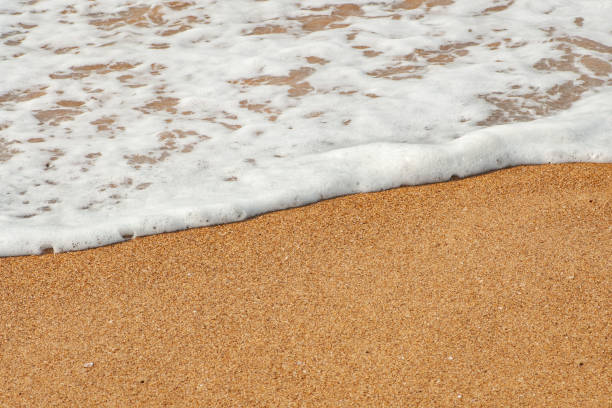 white sea foam curvy wave sur brown sandy beach - sandy brown bay beach sand photos et images de collection