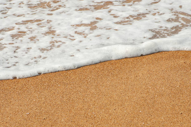 onda curvy da espuma do mar branco na praia arenosa de brown - sandy brown bay beach sand - fotografias e filmes do acervo