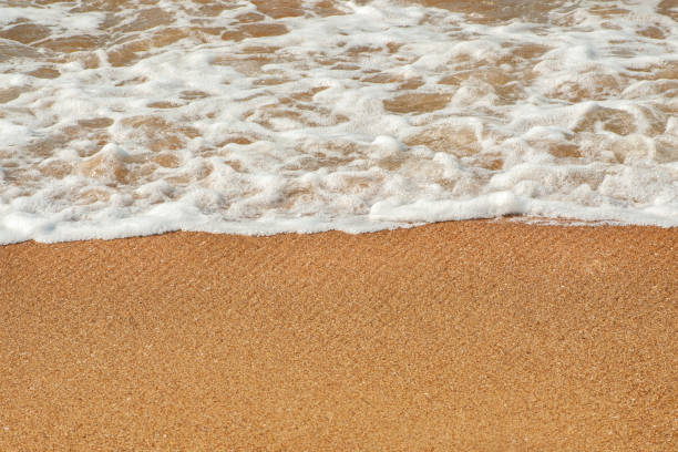 onda branca da espuma do mar do close-up na praia arenosa de brown - sandy brown bay beach sand - fotografias e filmes do acervo