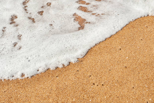 istock WHITE SEA FOAM WAVE ON BROWN SANDY BEACH 1170844442