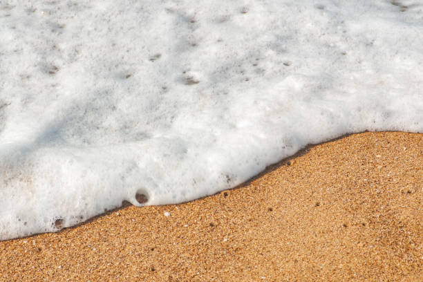 onda curvy da espuma do mar branco na praia arenosa de brown - sandy brown bay beach sand - fotografias e filmes do acervo