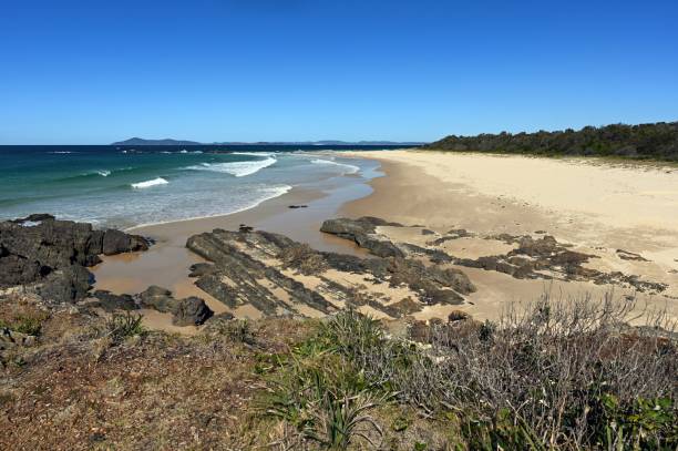 istock Australian Coastline Back Beach Hallidays Point 1170863141
