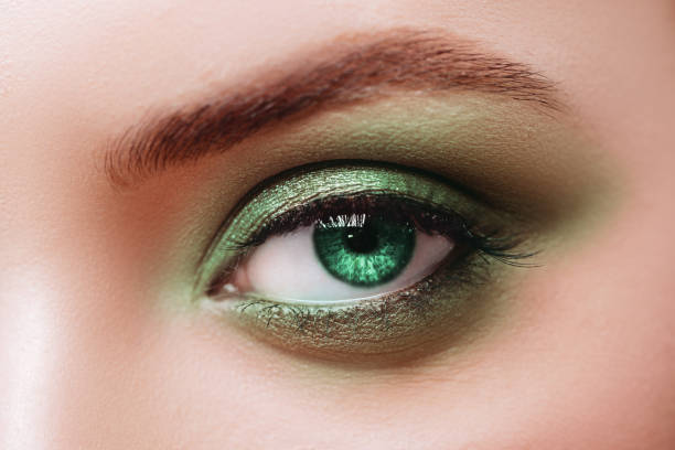 istock Fashion eye, long eyelashes and beautiful eye. 1170864401