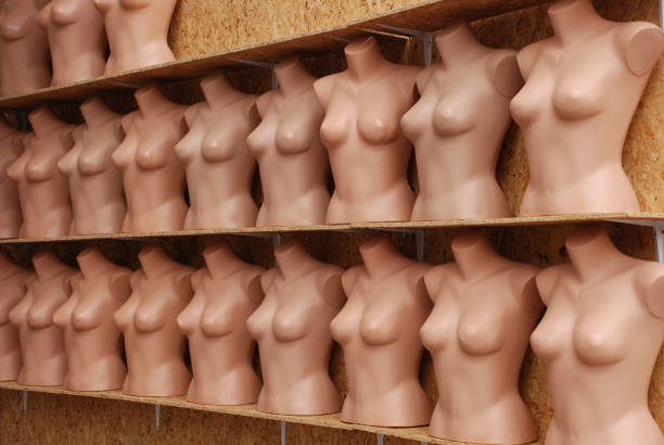 naked female mannequins in the shop window - mannequin naked female doll imagens e fotografias de stock