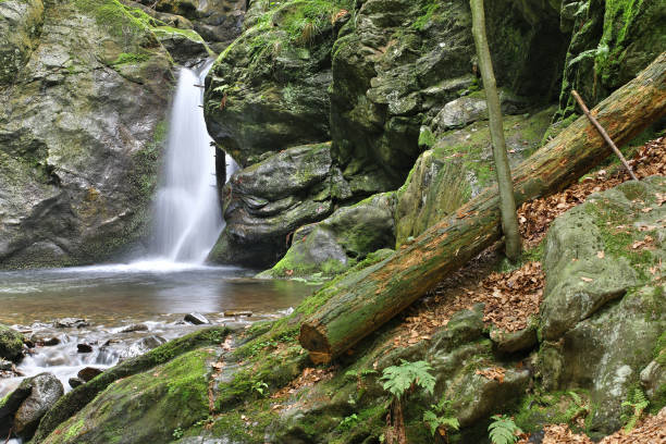 istock Waterfall on the Silver Brook, Czech Republic 1170870632