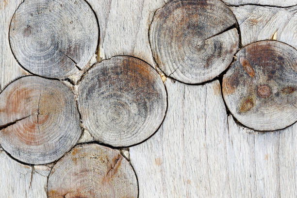 istock Wooden texture with knots 1170870806