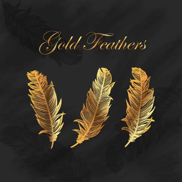 Vector illustration of Gold Feathers Collection with Blackboard Background. Design Element for Greeting Cards and Wedding, Birthday and other Holiday and Summer Invitation Cards Background.