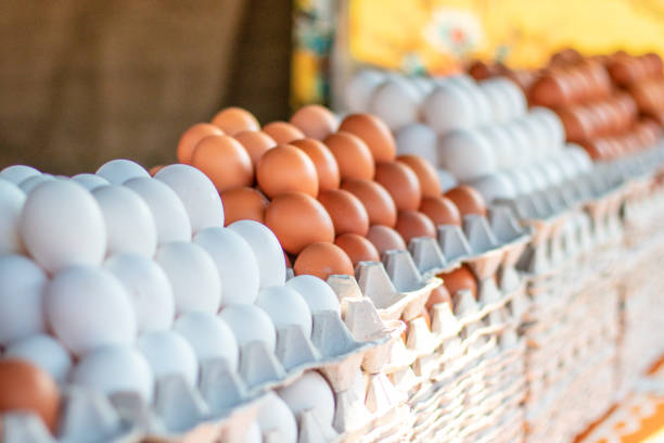 istock Fresh chicken eggs at a local farmers market 1170875846
