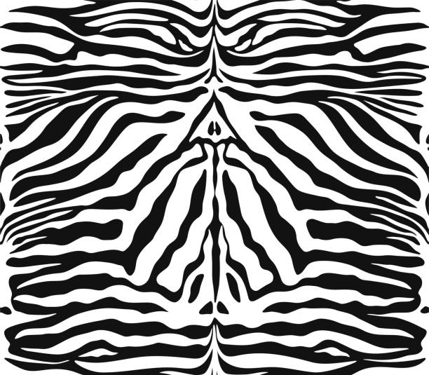 istock Seamless vector zebra skin pattern. 10 eps animal print for fabric, textile, design, cover, wrapping. Black and white stripes background. 1170888229