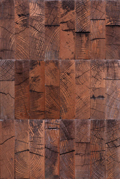 istock Cut ends of logs texture or background 1170891675