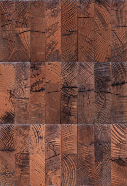 istock Cut ends of logs texture or background 1170891948