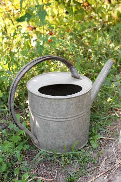 istock Watering can for flowers 1170894844