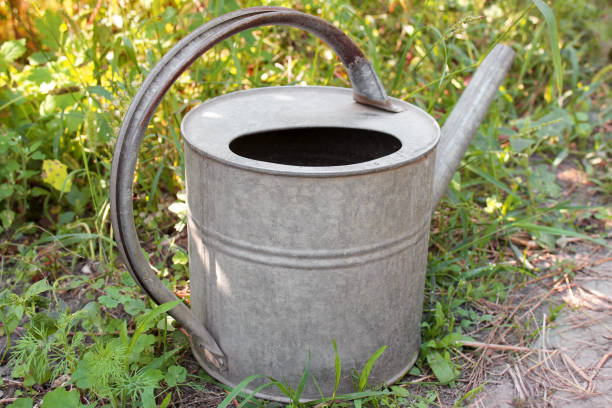 istock Watering can for flowers 1170894845