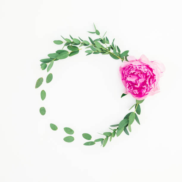 istock Round frame of pink peony flower, hypericum and eucalyptus on white background. Flat lay, top view 1170898755