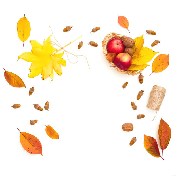 秋の組成。白い背景に秋の葉、リンゴ、ドングリとひも。感謝祭のコンセプト。フラットレイ、トップビュー - autumn leaf frame decoration ストックフォトと画像
