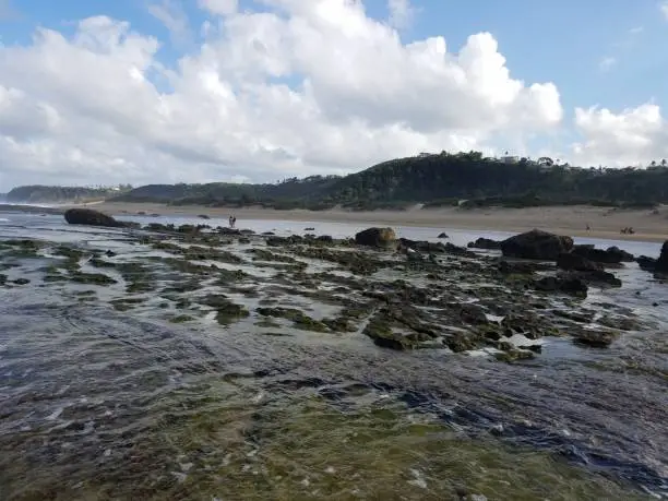 rocks and ocean water on the beach in tidepool area in Isabela, Puerto Rico