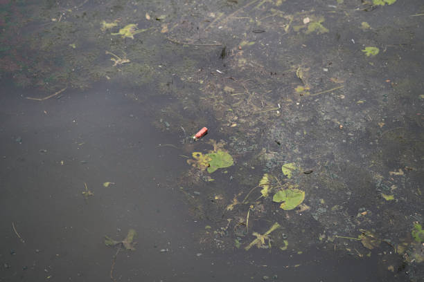 River polluted by human waste. A bottle in a river and a gasoline stain