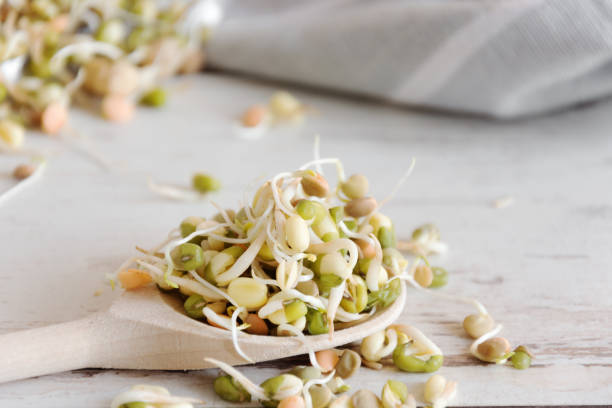istock Mix of various sprouts on wooden background 1170904509