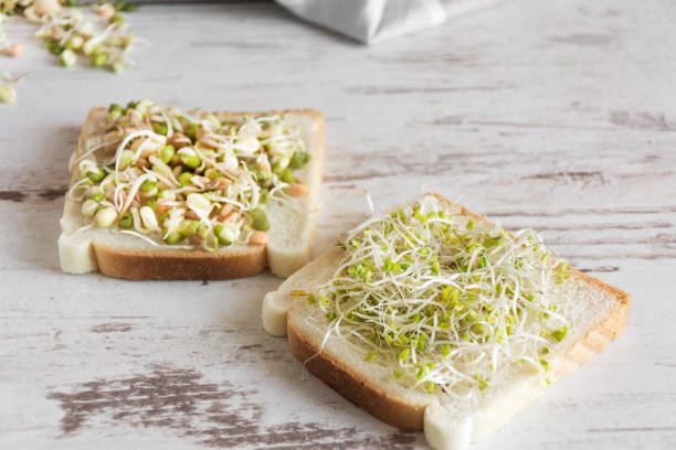 istock Healthy vegetarian sandwich with sprouted seeds. 1170904570